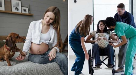 Pet dog kept staring at his pregnant owner’s baby bump leaving her concerned — a week later, his warning became clear