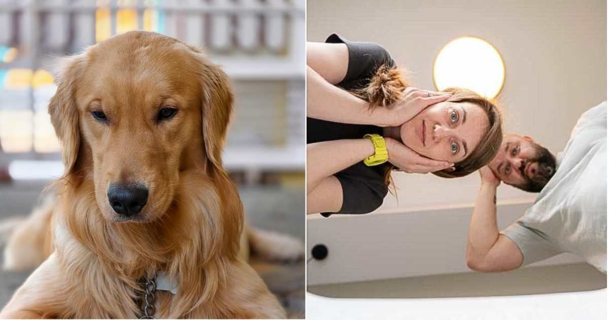 (L ) Dog intently sniffing and focused on one spot. (R) A couple looking at something, surprised. (Representative Cover Image Source: L - Pexels| Garuder, R - Getty Images| sankai