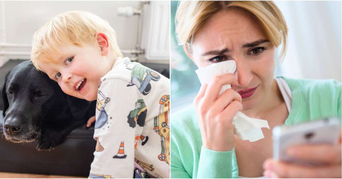 (L) A toddler playing  a big black dog. (R) Woman gets emotional as she looks at phone. ( (Representative Cover Image Source: Getty Images | L - Angelica Zander R - Jamie Grill)