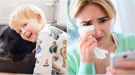 She was filming her toddler with their giant dog — then he looked at the pet and said one word that hit her hard