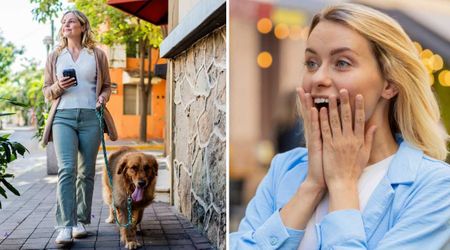 Her dog took a new path when she walked him instead of her husband — and it led her straight to his secret