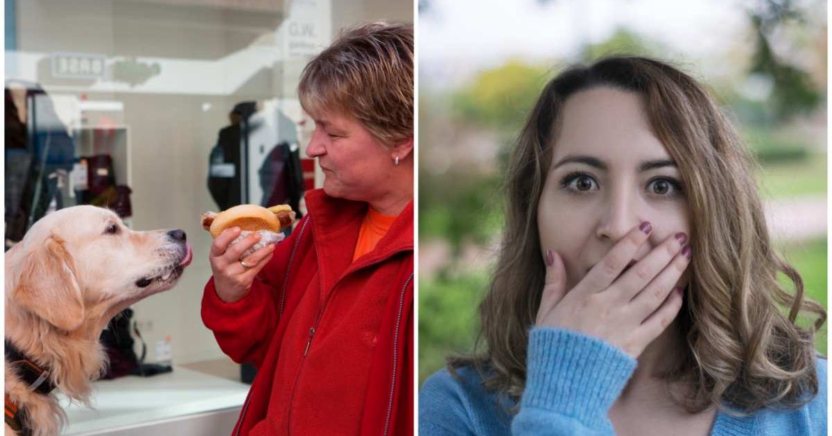 (L ) A golden retriever looking at a woman holding snacks ; (R) A woman looks shocked (Representative Cover Image Source: Getty Images | Photo by (L) Holger Leue ; (R) Alihan Usullu)
