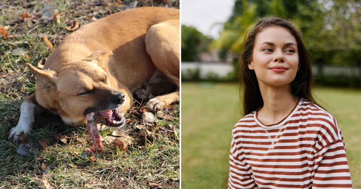 A dog chewing on a bone (L). A woman on a lawn, lazily smirking (R) (Representative Cover Image Source: Getty Images | Photo by OLGA Zhukovskaya and Dmitry Ageev)