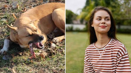 She caught her neighbor tossing half-eaten dog bones into her yard — her 30-minute payback, years in the making, drove him crazy