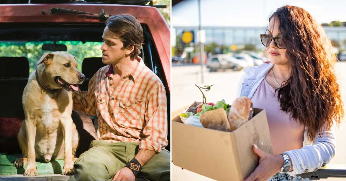 (L) A man with a dog sitting in the car (R) A woman carrying a food box (Representative Cover Source: Getty Images | (L) Jupiterimages; (R) Milan Markovic)
