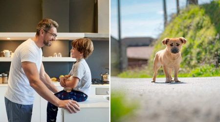 Dad told his son he can’t have a brother despite three younger sisters — his ‘stray dog’ logic left him stunned