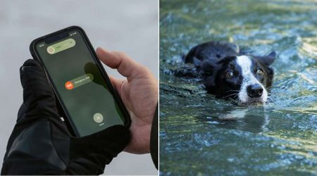 SOS message from iPhone failed to deliver when woman and her dog got swept away in flash floods – a few minutes later, the unexpected happened