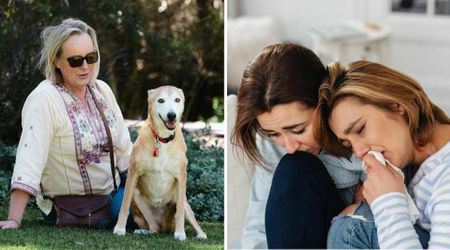 Dog refused to move from her mom’s side for 20 minutes after a weekly visit — hours later, tragic news explained why