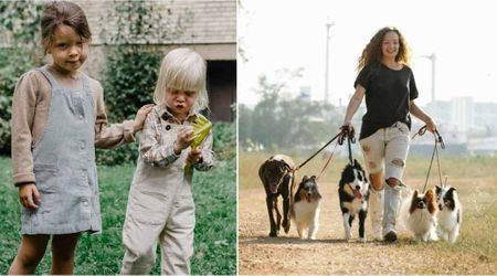 A neighbor with four dogs filed a noise complaint about kids playing — so a parent got petty with nighttime revenge