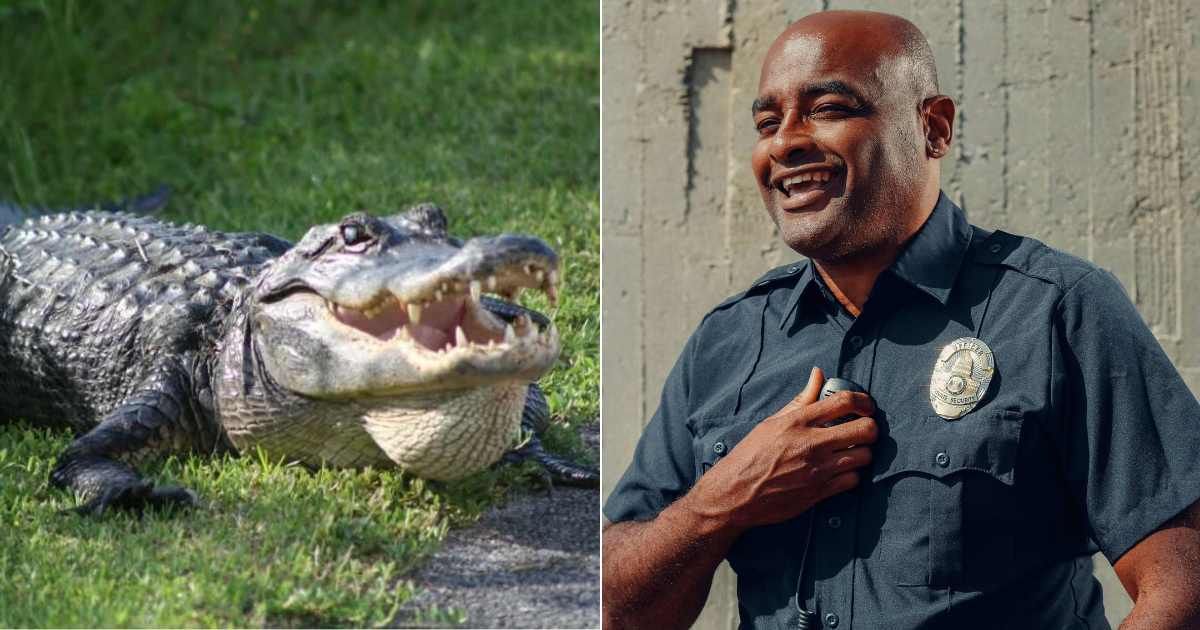 (L) An alligator bellowing (R) An elderly woman talking with an officer in a park (Representative Cover Source: Unsplash | (L) Adam Kubín; (R) Pexels| Kindel Media)