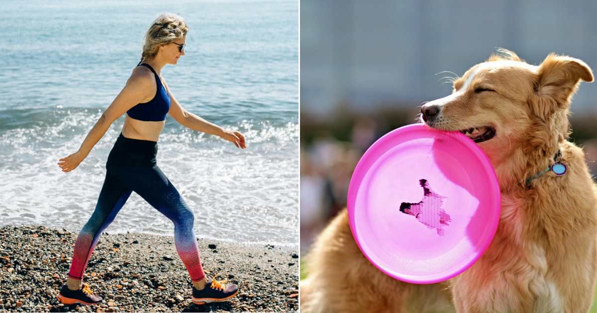 (L) A woman walking on the beach (R) A dog holding a frisbee (Representative Cover Source: Pexels | (L) Nataliya Vaitkevich; (R) Marek Kupiec)