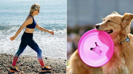 Woman found a frisbee-like toy on the beach — the bittersweet note from a pet parent asking one thing left her in tears