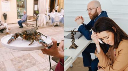 Animal rights activist tossed a lobster from a restaurant tank into the harbor to ‘rescue’ it — but faced charges after the owner’s revelation