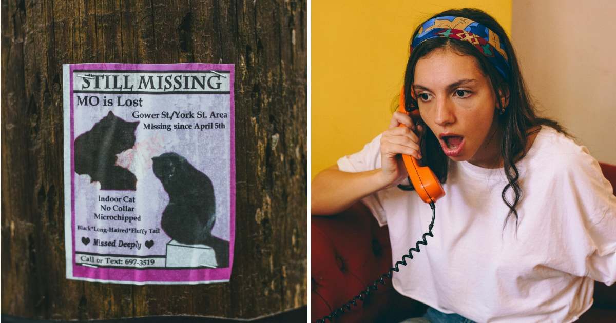 (L) Missing cat poster. (R) Shocked woman on call. (Representative Cover Image Source: Pexels | (L) Erik Mclean, (R) Guillermo Berlin)