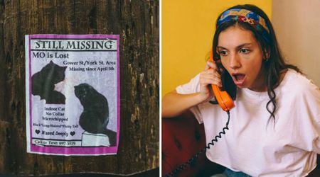 Texas woman thought her cat missing for a week was dead — then apology call from California revealed the hilarious reason he flew across the country