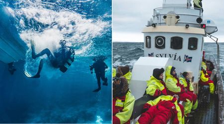 Scuba diver lost his leg when a runaway boat hit him—then a second boat carrying 3 doctors arrived at the critical moment