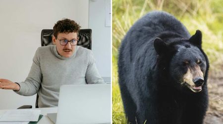 Student emails professor that she can’t make class because a bear got into her car — then sends proof that leaves him speechless