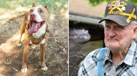 Homeless veteran surrendered his dog at a fire station with one heartbreaking request — but firefighters had a plan he never saw coming