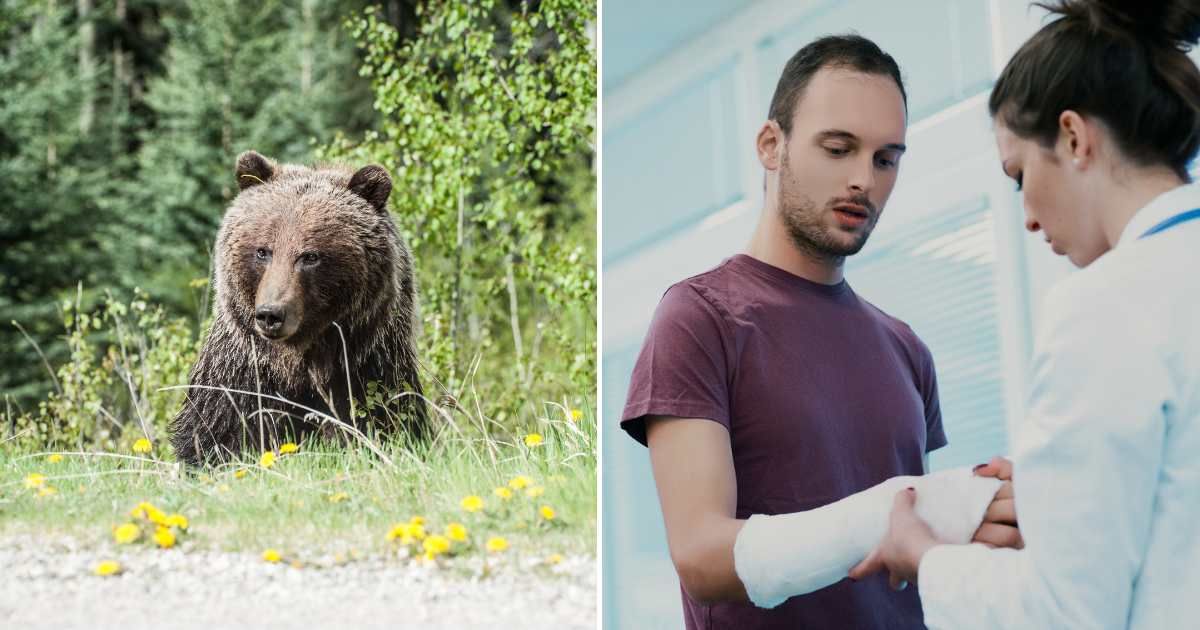 A grisly bear (L). A man with a broken arm is being treated (R). (Representative Cover Image Source: Pexel and Getty Images | Photo by Gregory Rogers and Giulio Fornasar)