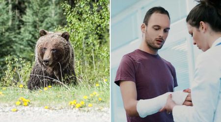 Hiker terrified of a grizzly bear charging from 15 feet away made one desperate move with his arm — it saved him from the unthinkable