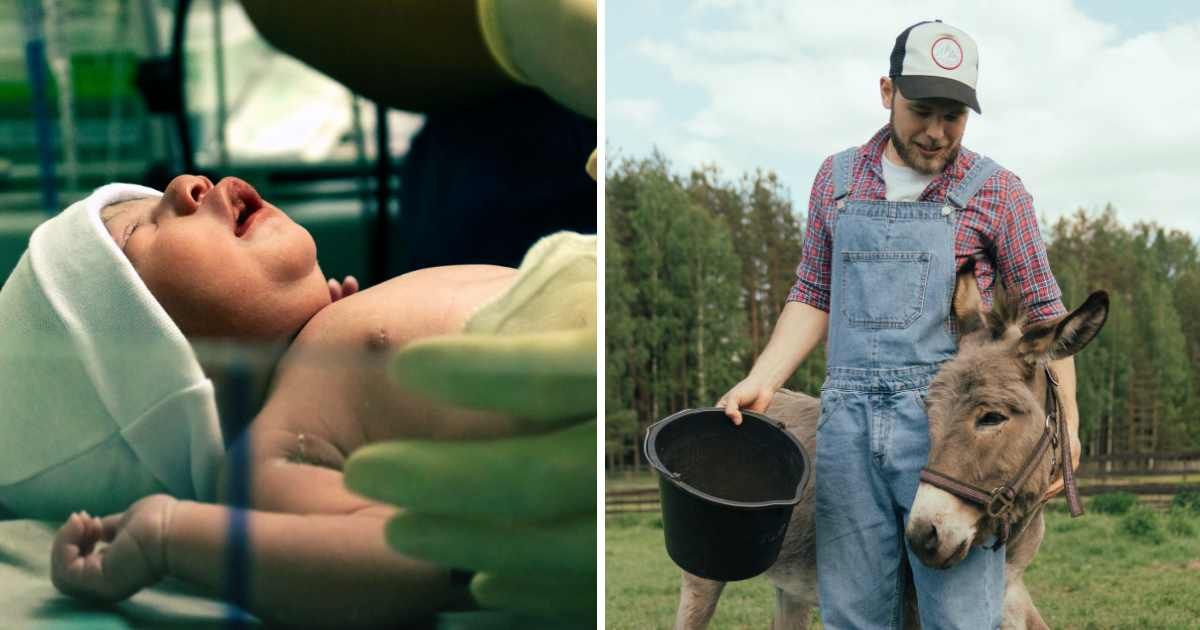 (L) Newborn with doctors. (R) Farmer with an animal. (Representative Cover Image Source: Pexels | (L) Bruno Curly, (R) cottonbro studio)