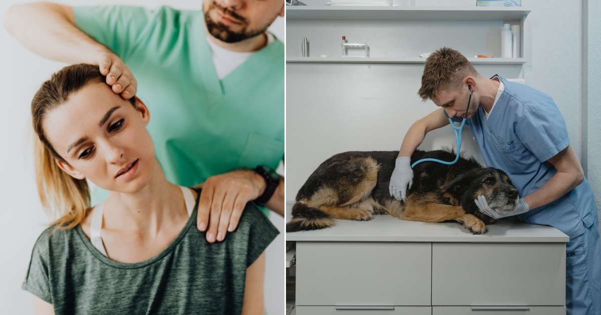 (L) Woman visiting a doctor for joint pain. (R) Vet analyzing a dog in a clinic. (Representative Cover Image Source: Pexels| L - Karola G, R - Tima Miroshnichenko)