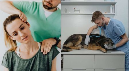 4 siblings battled the same symptoms for a decade — then the family dog’s old diagnosis finally cracked the mystery