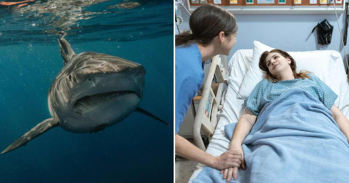 (L) A shark inside the ocean. (R) A woman is getting attended to on a hospital bed.(Representative Cover Image Source: Pexels | L - Daniel Torobekov, R - RDNE Stock project)