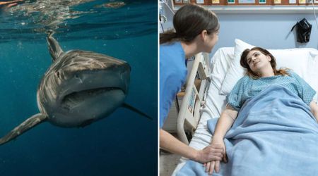 34-year-old who survived a brutal shark attack woke from coma with three words for her family — then asked if her 1-year-old was safe