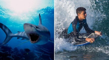 Little boy feared he’d die after shark latched onto his foot—then his 16-year-old brother ripped off his own swimsuit in a desperate move