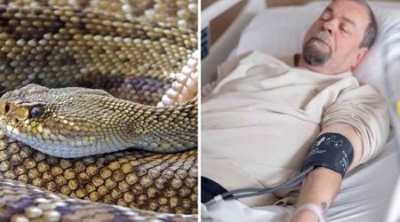 Dad survived two rattlesnake bites in his parents’ backyard — but what doctors discovered meant one hospital was no longer enough