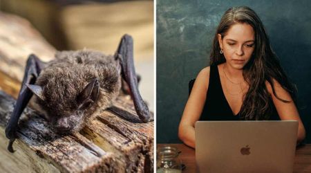 Woman rescued drowning bat on vacation and used Google Lens just to identify it — then it asked her one question that sent her running to the hospital
