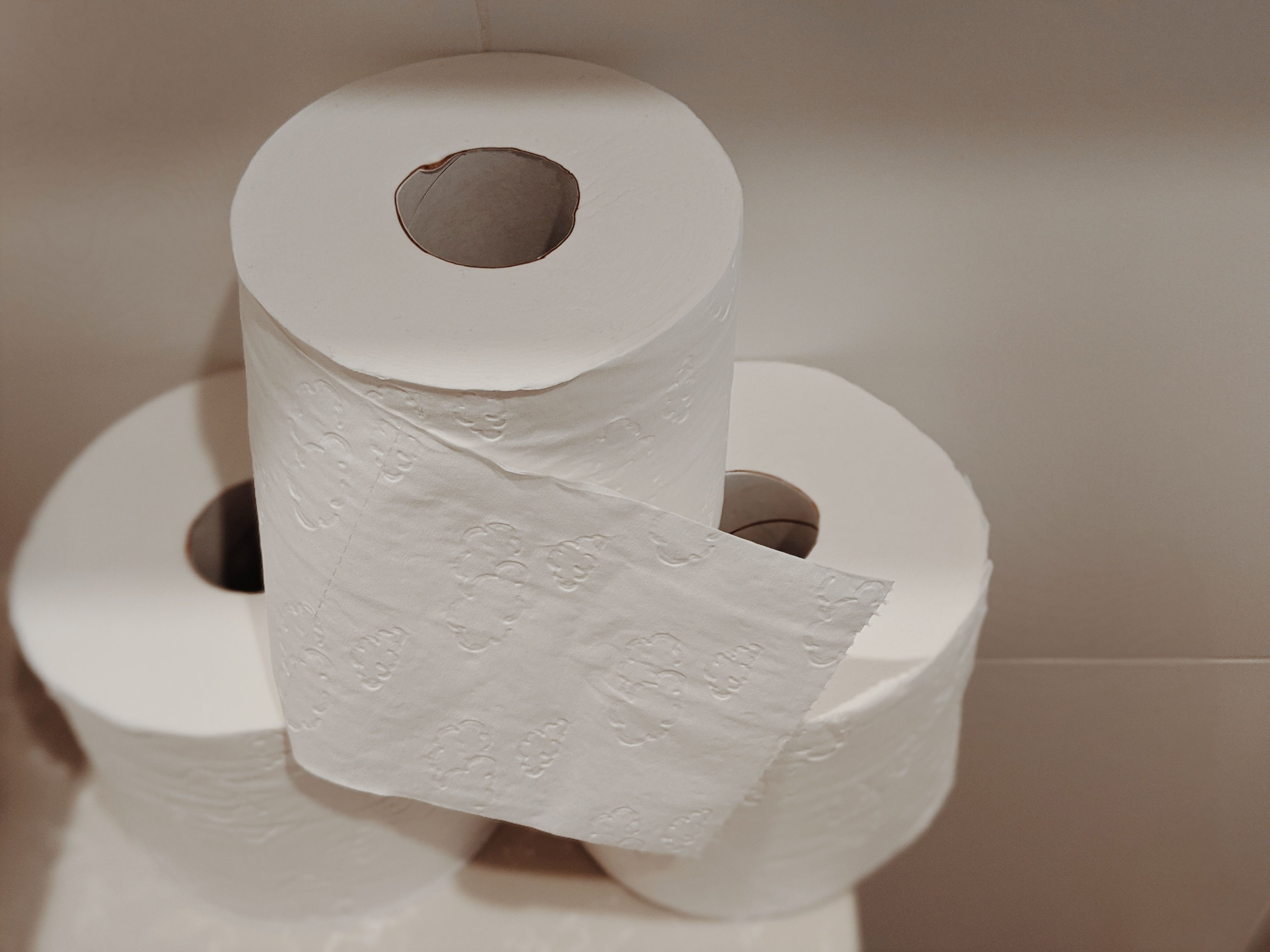 A toilet roll attached in a restroom.