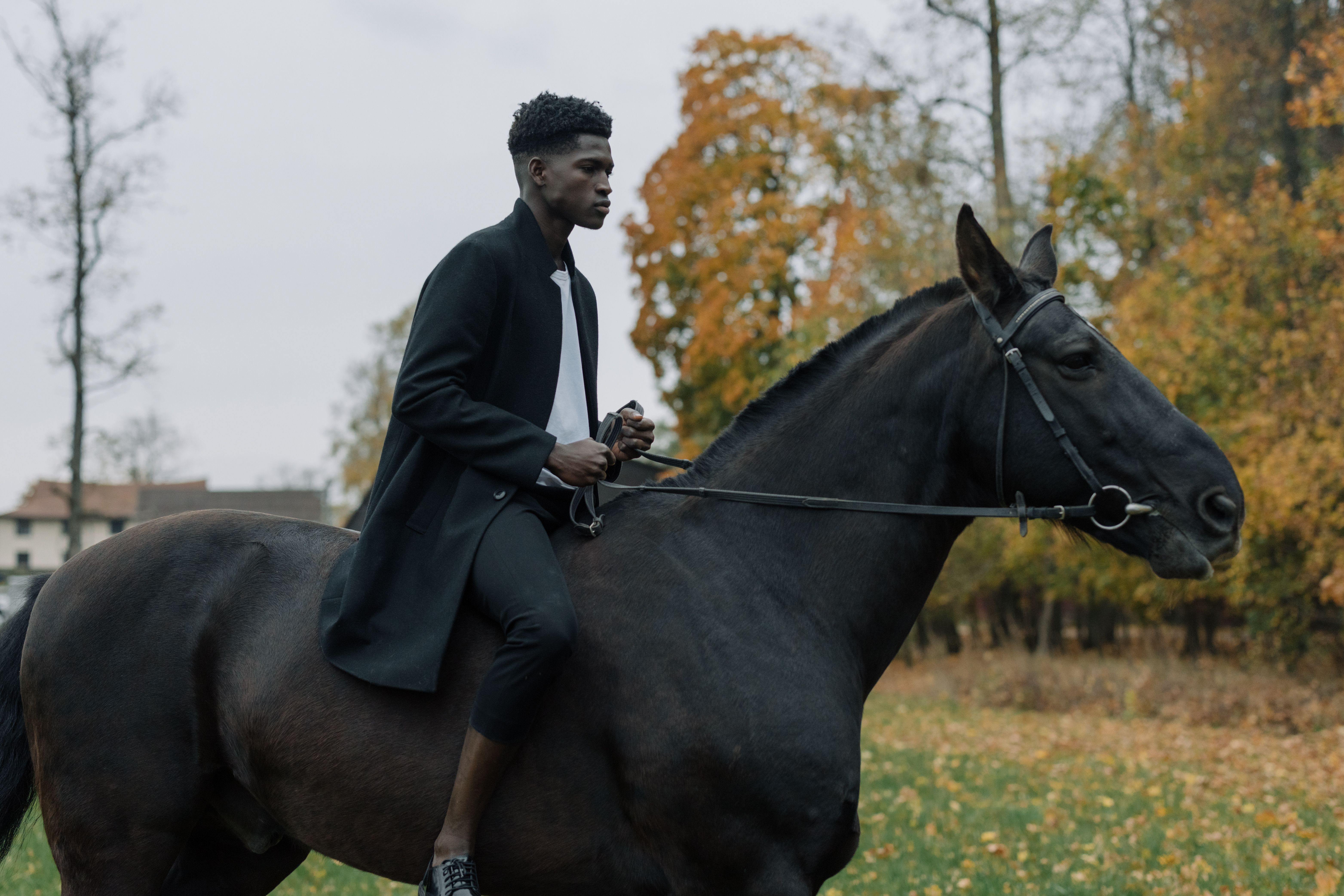 Man riding a black horse outdoors  (Representative Image Source: Pexels | cottonbro studio)