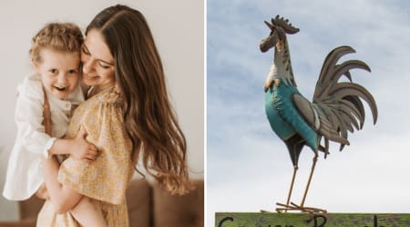 Authorities fined a family over an autistic 6-year-old’s ‘illegal’ rooster displays — one friend’s kind offer sparked a movement no one saw coming  