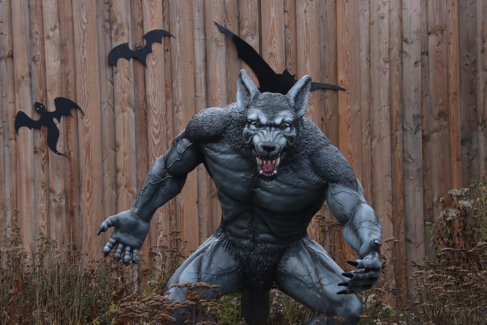 Wolf-themed decor in a person's home.