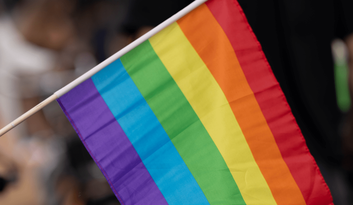 Close-up of a pride flag. (Representative Image Source: Pexels | Valentin Ilas)