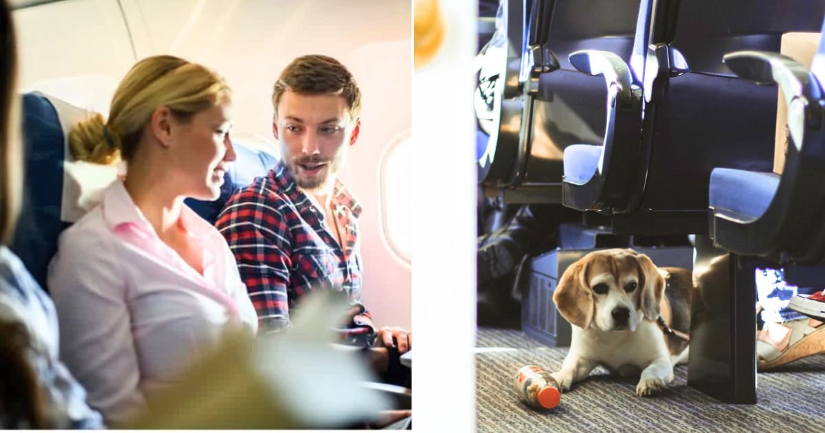 (L) Two passengers smiling and talking. (R) A dog sitting under a seat while traveling. (Representative Cover Image Source; L - Getty Images| BraunS, R - Pexels| jelfilms)
