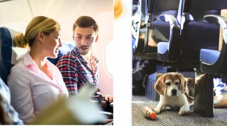 Two passengers noticed a woman traveling with her dog on a Delta flight — instead of saying hello, they left behind a note that left her speechless  