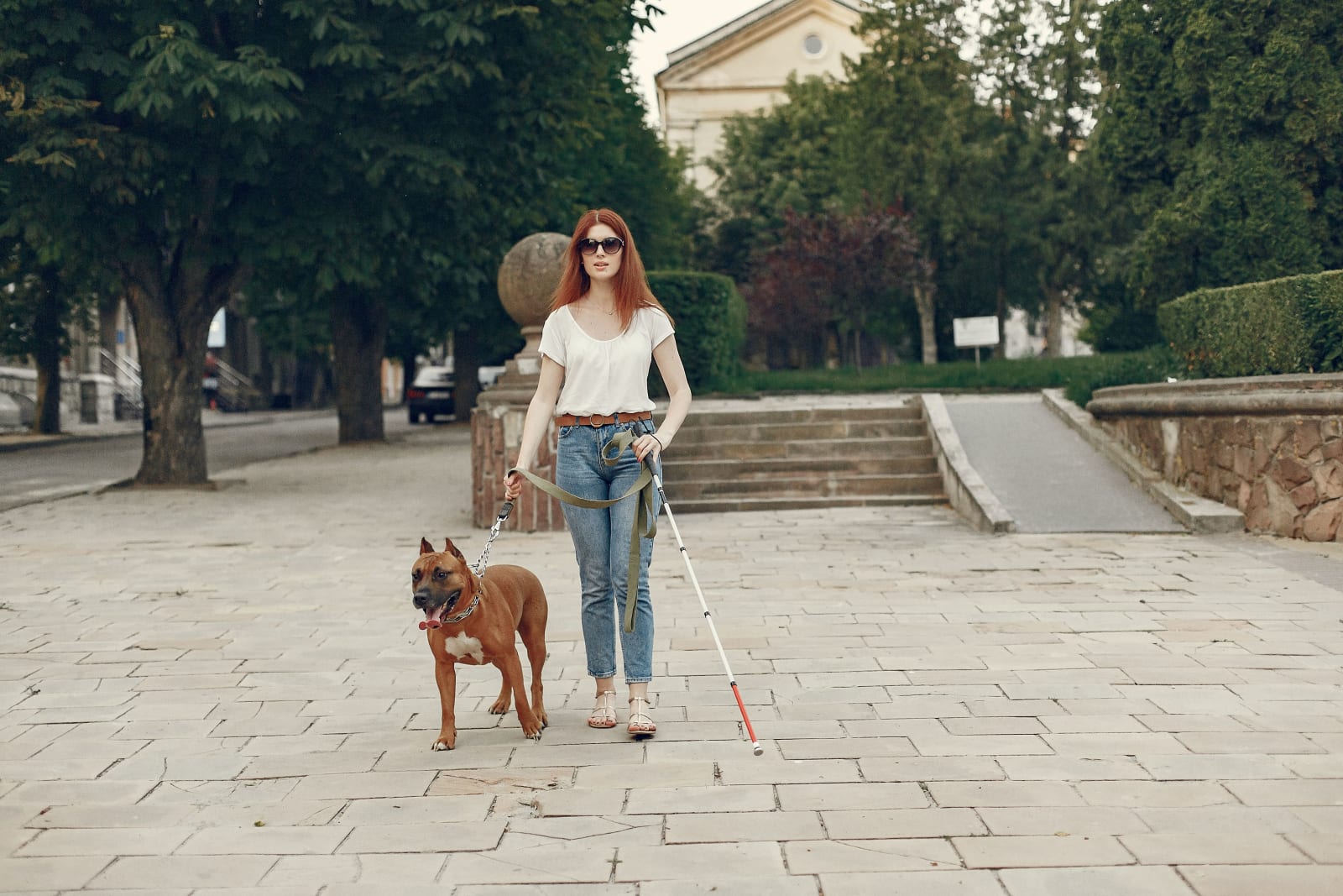 Visually impaired woman with a guide dog (Representative Image Source: Pexels | Gustavo Fring)