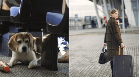 Woman boarded a flight with her dog safely secured in a kennel — one unexpected sight in the row ahead got them kicked off the plane